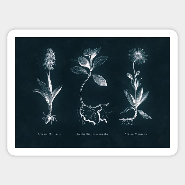 Cyanotype - Triptych 01 Sticker by PixelHunter